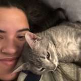 Keryn