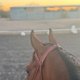 Isabel