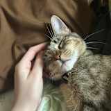 Chloe