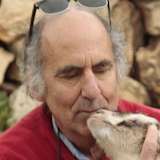 Jerry shulman
