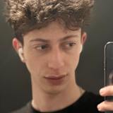Mudi