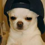 Sangyeop Lee