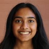 Veena