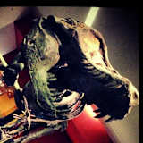 Chene
