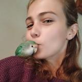 Giani