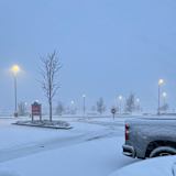 Amber
