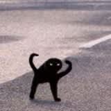 Kit