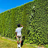 Hamza