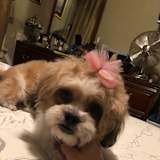 Linda
