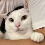 Cin