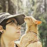 kitty