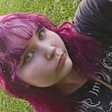 Traci