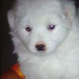 Monu