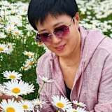 Karen WANG