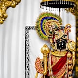 Ayush Patel