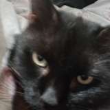 Caitlin