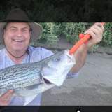 Dan Robbins