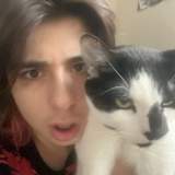 din