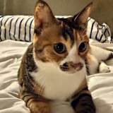 Katherine