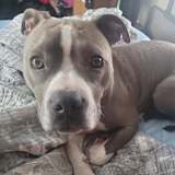 Samantha
