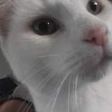 Casey