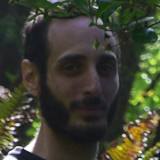 Michele