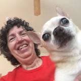 Dee