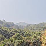 Nandana