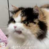 BINGSHUO