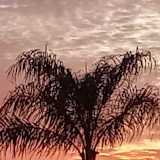 Dawn Gazzola