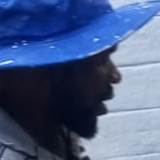 Desmond P Williams