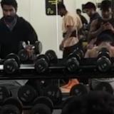 Hari