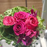 RoseMarie