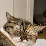 Esther Moo