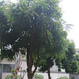TANISHK PORWAL