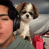 mateo