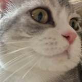 Elliot