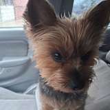 Bill