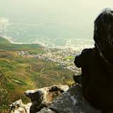 Dolya