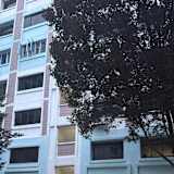 Chaoyang