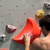 Tom Haywood