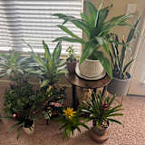 Kimberley's Home