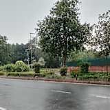 Rachna