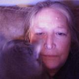 Lori A Butler