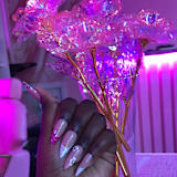 Princess