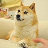 Bao