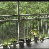 Ashley
