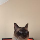 Elliette