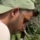 Dan