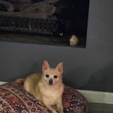 Anthony